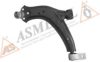 ASMETAL 30PE1006 Track Control Arm